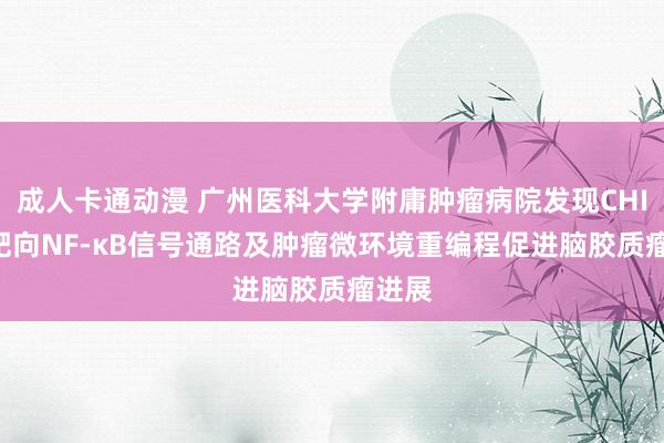 成人卡通动漫 广州医科大学附庸肿瘤病院发现CHI3L1靶向NF-κB信号通路及肿瘤微环境重编程促进脑胶质瘤进展