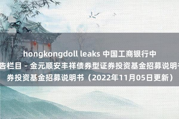 hongkongdoll leaks 中国工商银行中国网站－基金频谈－基金公告栏目－金元顺安丰祥债券型证券投资基金招募说明书（2022年11月05日更新）