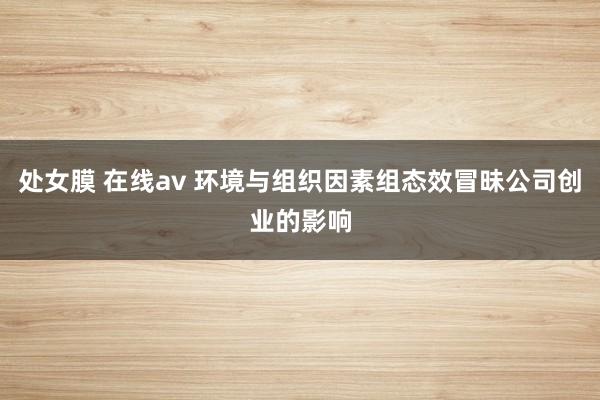 处女膜 在线av 环境与组织因素组态效冒昧公司创业的影响