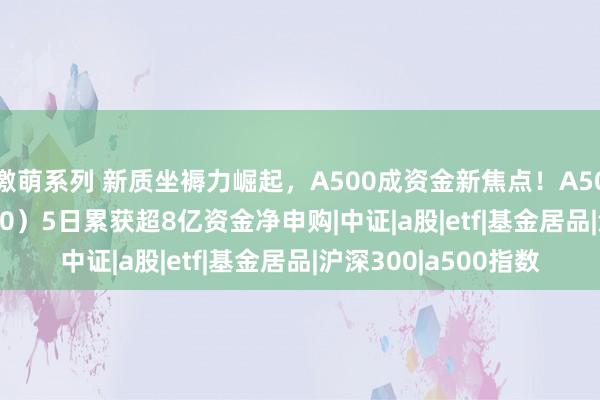 激萌系列 新质坐褥力崛起，A500成资金新焦点！A500指数ETF（560610）5日累获超8亿资金净申购|中证|a股|etf|基金居品|沪深300|a500指数