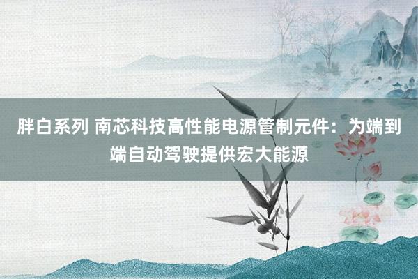 胖白系列 南芯科技高性能电源管制元件：为端到端自动驾驶提供宏大能源