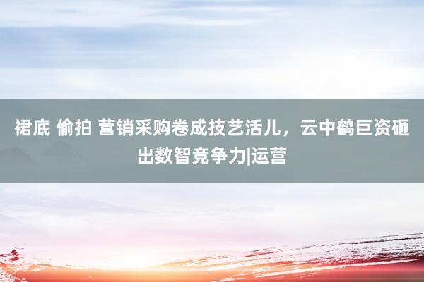 裙底 偷拍 营销采购卷成技艺活儿，云中鹤巨资砸出数智竞争力|运营