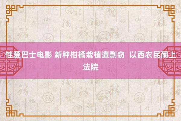 性爱巴士电影 新种柑橘栽植遭剽窃  以西农民闹上法院