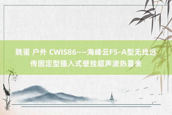 跳蛋 户外 CWIS86——海峰云F5-A型无线远传固定型插入式壁挂超声波热量表