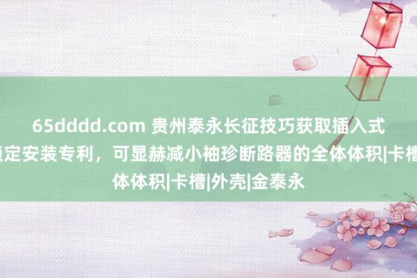 65dddd.com 贵州泰永长征技巧获取插入式断路器安全锁定安装专利，可显赫减小袖珍断路器的全体体积|卡槽|外壳|金泰永